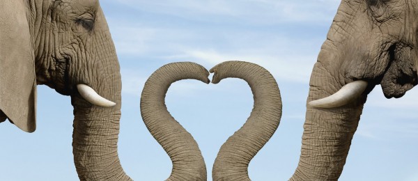 Love Heart Facebook Cover Love Heart Facebook Cover