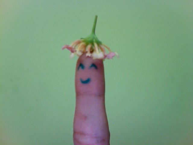 Funny Finger Art Funny Finger Art