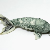 One_dollar_koi_new_ver__side_by_orudorumagi11