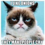 Are you onion lover? Grumpy cat is not