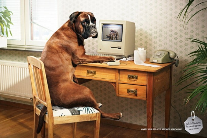 Funny Ads