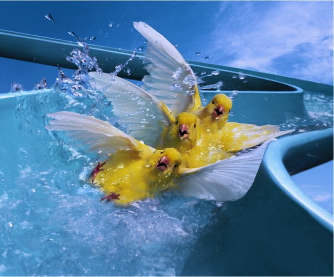CUTE SLIDE
