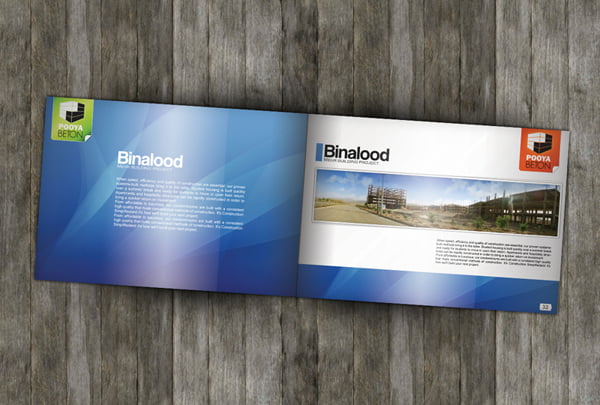 12 Print Poster Design