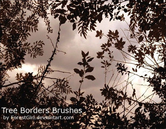 21 Photoshop Brushes