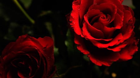 23 flower wallpaper