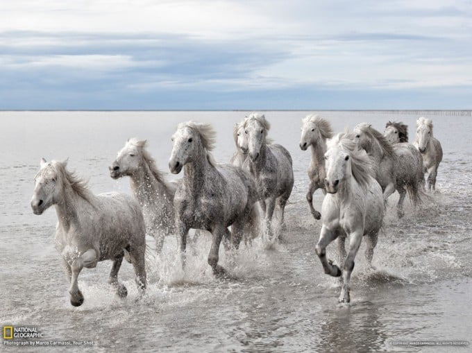 25 National Geographic