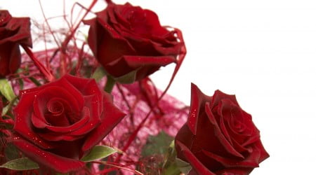 25 flower wallpaper