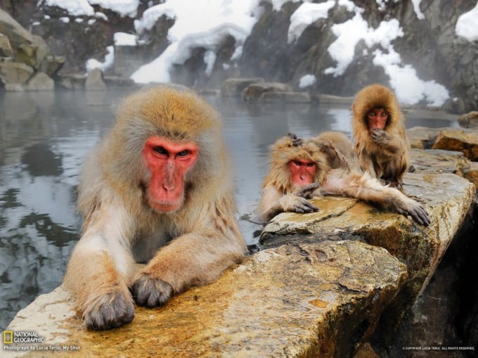 3 National Geographic