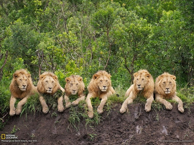 30 National Geographic