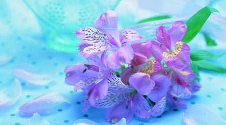 7 flower wallpaper