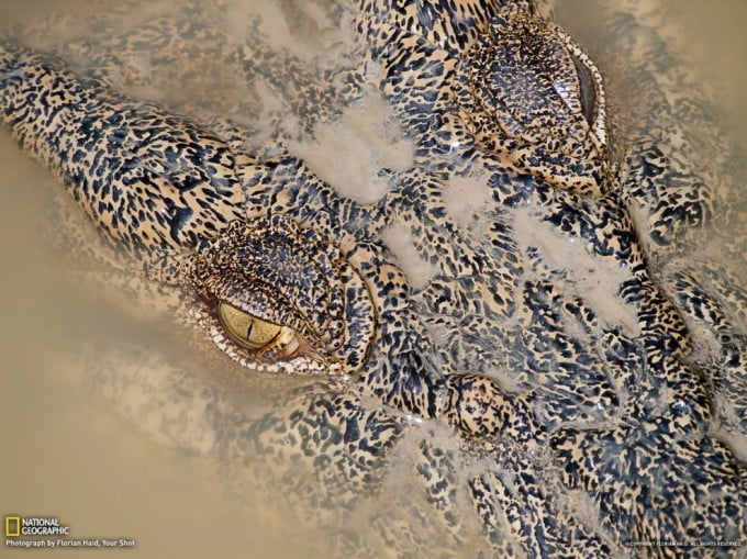8 National Geographic
