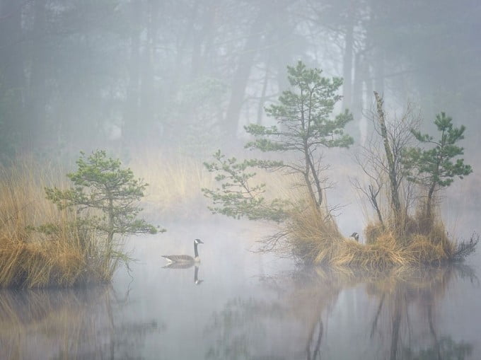 9 National Geographic