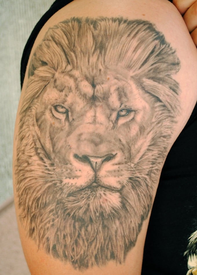 37 lion tattoo