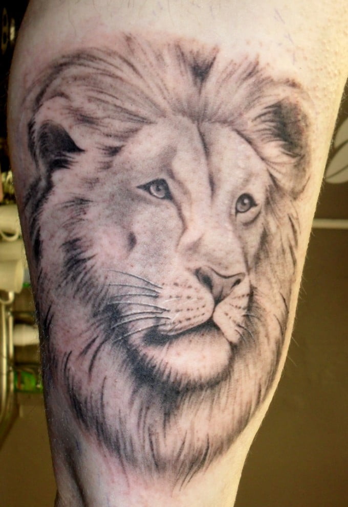 38 lion tattoo