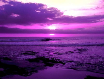 40+ Examples of Beautiful Purple Nature Colors Photography ...