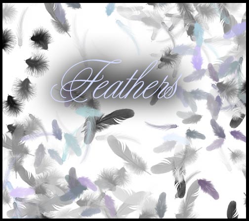15 photoshop brushes