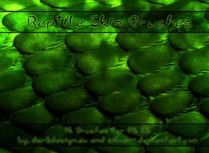 21 photoshop brushes
