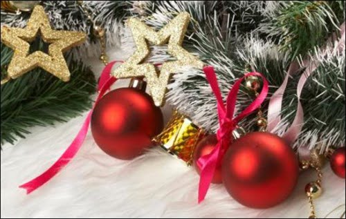 pine christmas tree desktop wallpapers