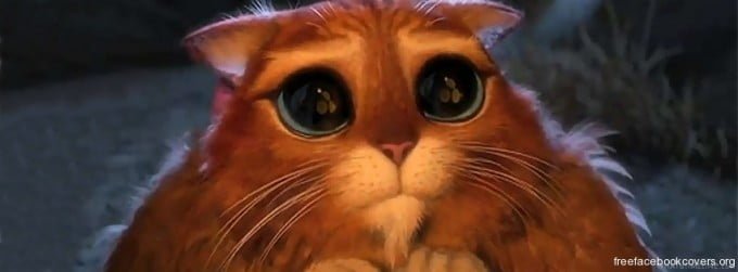 cut cat facebook cover