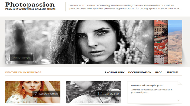 50+ Premium WordPress Image Gallery Portfolio Themes