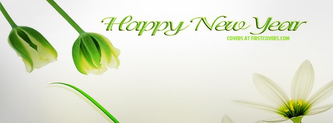 Happy New Year 2013 Facebook Cover Happy New Year 2013 Facebook Cover
