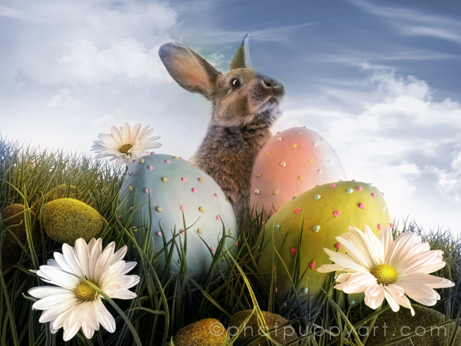 Happy Easter Wallpaper
