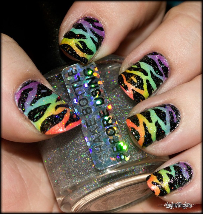 Rainbow Zebra Rainbow Zebra