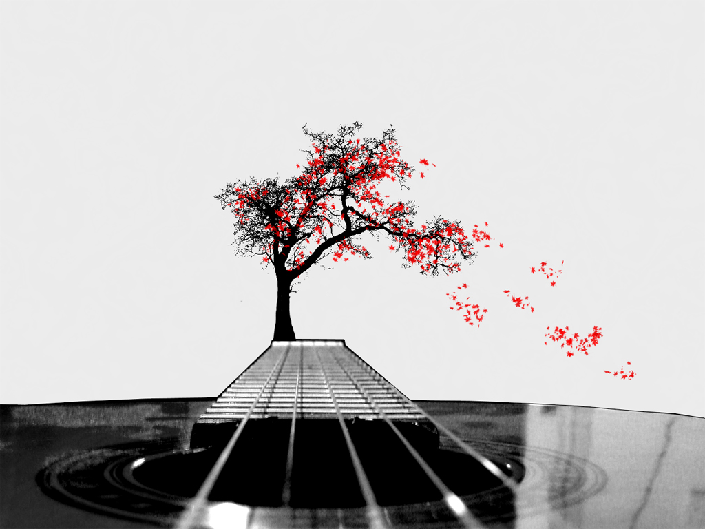 Music Wallpapers