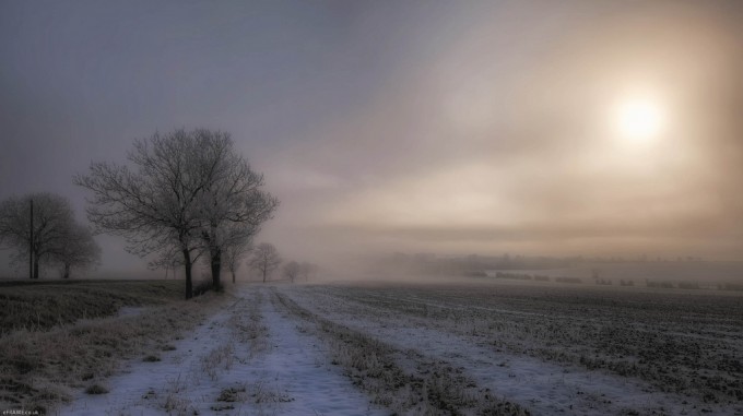 Sun and Mist(HDR)