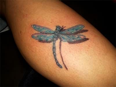 3D Dragonfly