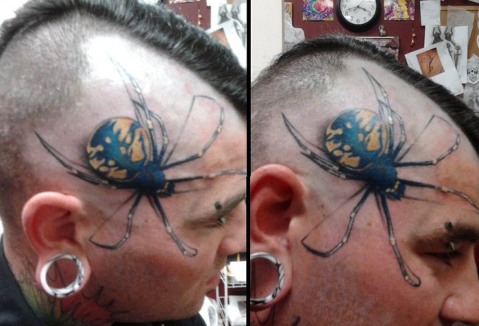 3D Spider