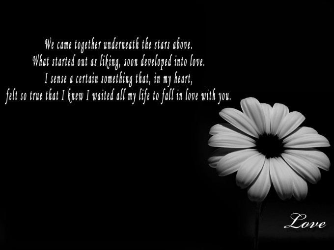 Fall In Love