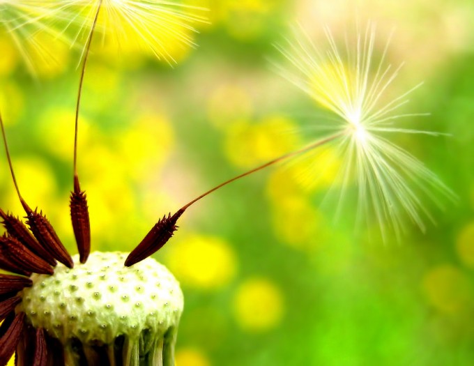 Hold On to Spring