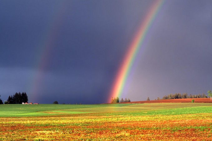 Beautiful Nature Wallpaper
