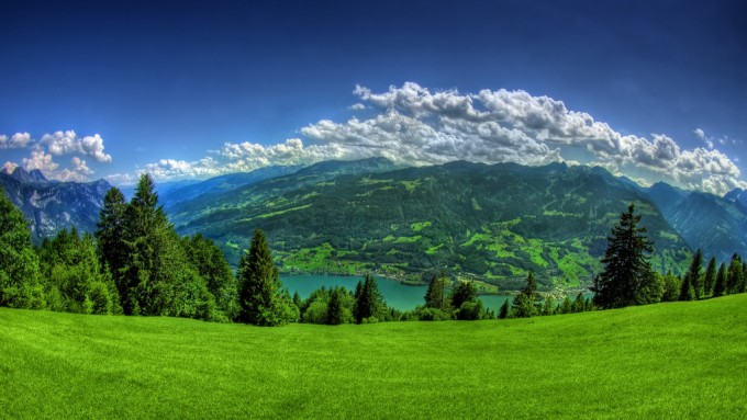 HD Wallpaper Nature