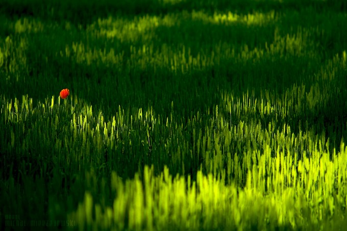 alone