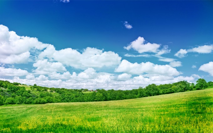 beautiful nature