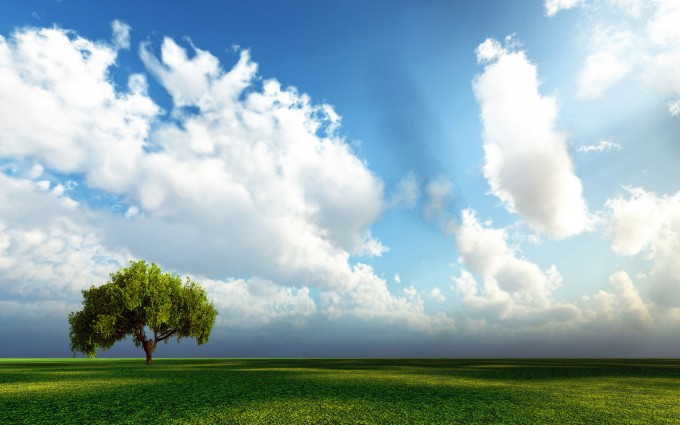 beauty of nature