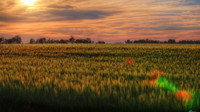 Nature Wallpaper HD