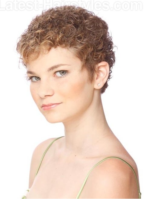 Pixie Curly Haircut