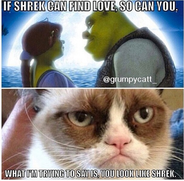 Want to find true love?