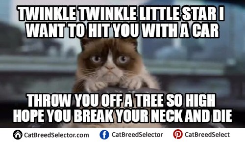 Grumpy Favorite Poem