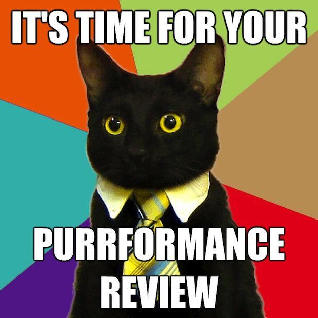 cute-funny-Cat-meme-34