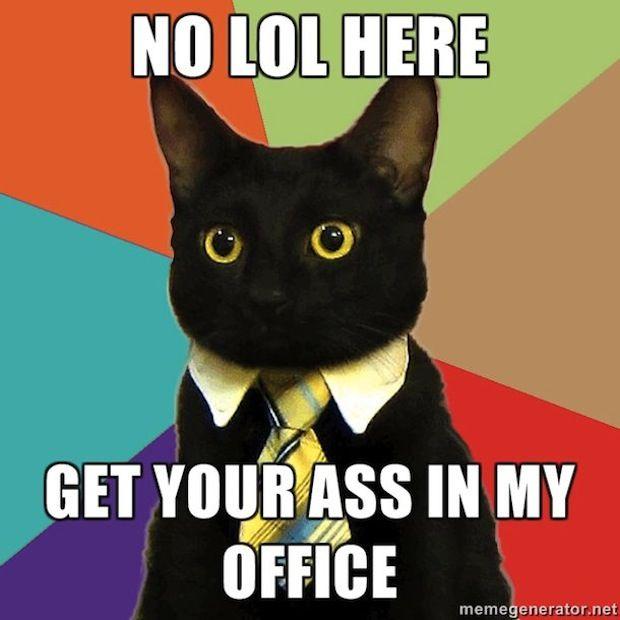 cute-funny-Cat-meme-35