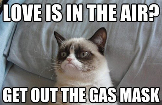 cute-funny-Cat-meme-12