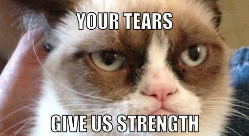 cute-funny-Cat-meme-13