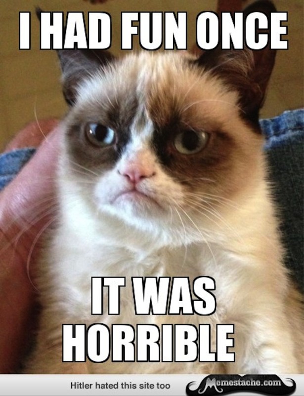 cute-funny-Cat-meme-14
