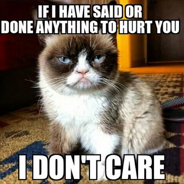 cute-funny-Cat-meme-15