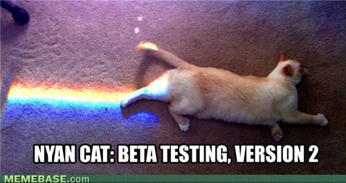 cute-funny-Cat-meme-2