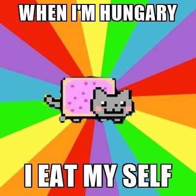 cute-funny-Cat-meme-3